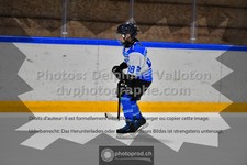 ref. photo 3544994