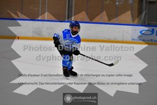 ref. photo 3544995