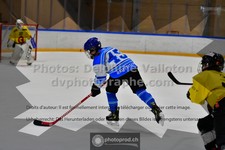 ref. photo 3544998