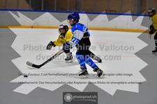 ref. photo 3545001