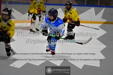 ref. photo 3545005