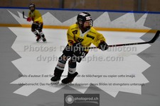 ref. photo 3545015