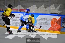 ref. photo 3545033