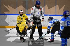 ref. photo 3545035