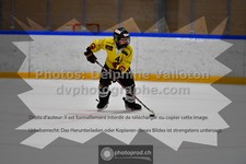ref. photo 3545037