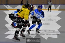 ref. photo 3545038