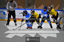 ref. photo 3545040