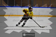ref. photo 3545043