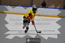 ref. photo 3545051