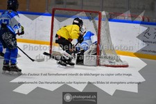 ref. photo 3545053