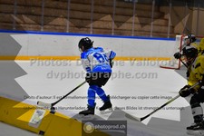 ref. photo 3545055