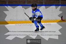ref. photo 3545060