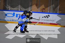 ref. photo 3545067