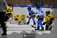 ref. photo 3545087