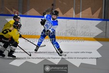 ref. photo 3545089