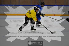 ref. photo 3545094