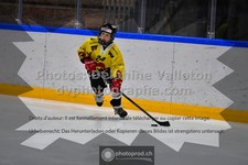 ref. photo 3545113