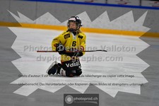 ref. photo 3545135