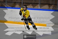 ref. photo 3545200