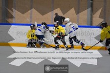 ref. photo 3545229