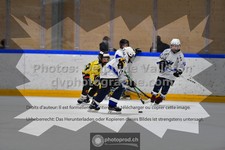 ref. photo 3545230