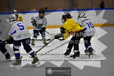 ref. photo 3545234
