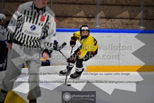 ref. photo 3545318