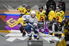 ref. photo 3545350