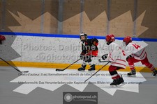 ref. photo 3545426