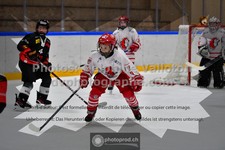ref. photo 3545431