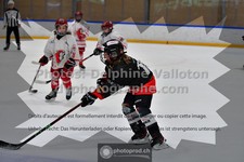 ref. photo 3545499