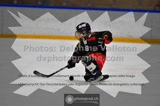 ref. photo 3545515