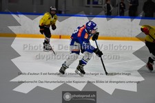 ref. photo 3545588