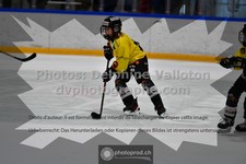 ref. photo 3545590