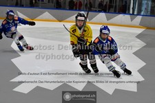 ref. photo 3545600