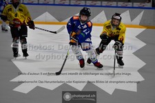 ref. photo 3545616