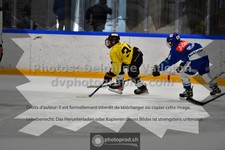 ref. photo 3545619
