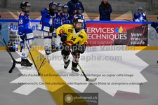 ref. photo 3545645