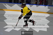 ref. photo 3545683