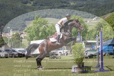 ref. photo 3236009