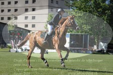 ref. photo 3236031