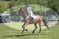 ref. photo 3236034