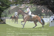 ref. photo 3236045
