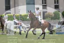 ref. photo 3236046