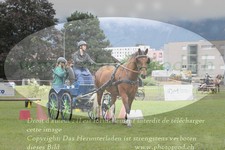ref. photo 3236053