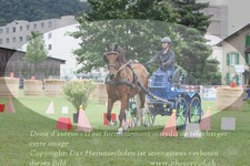 ref. photo 3236055