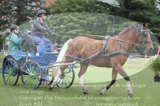 ref. photo 3236057