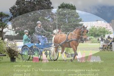 ref. photo 3236064