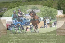 ref. photo 3236076