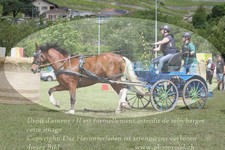 ref. photo 3236079